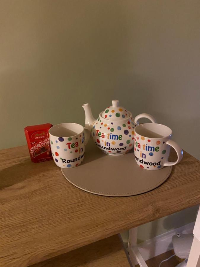 Scarr View 1St Floor Apartment A98W710 Wicklow Esterno foto