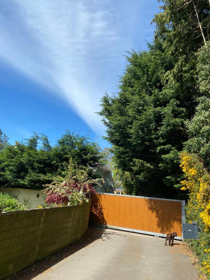 Scarr View 1St Floor Apartment A98W710 Wicklow Esterno foto