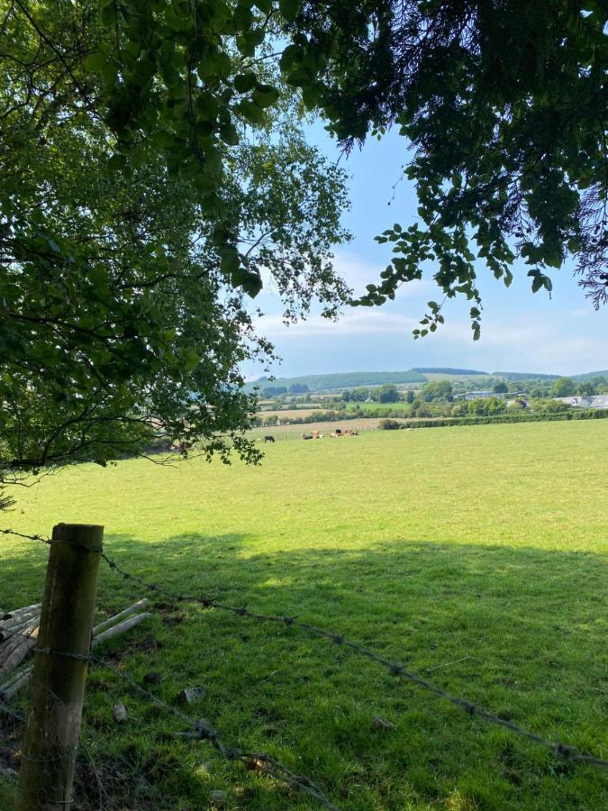 Scarr View 1St Floor Apartment A98W710 Wicklow Esterno foto