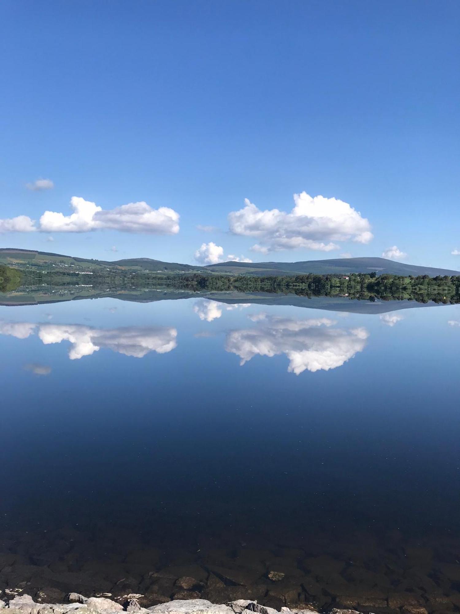 Scarr View 1St Floor Apartment A98W710 Wicklow Esterno foto